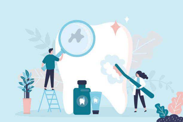 Best Dental X-Rays and Imaging  in Seminole, FL